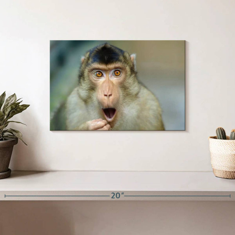 Brampt Monkey I, 8" H x 12" W