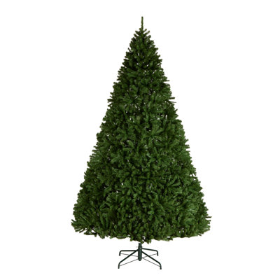 Spruce Christmas Tree