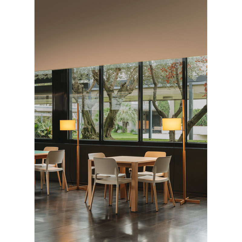 Belloch Chair, White, Natural Beech Wood
