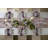 Violet Check Wine Glass