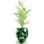 Handmade Pot Planter-52454982