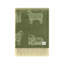 Green Sheep Merino Wool Throw