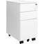 Suveer 30cm Wide 2 -Drawer Mobile File Cabinet-572583572