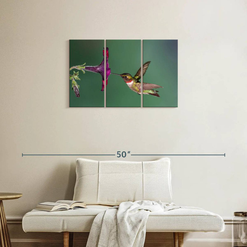 Nectar Brampt suçant un colibri, H 20 po x l 33 po