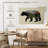 The North American Black Bear-76212802-76212859