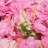 12Pcs Flower Wall Panel Artificial Flower Wall Backdrop For Photo Background Party Wedding Decor-1946180811