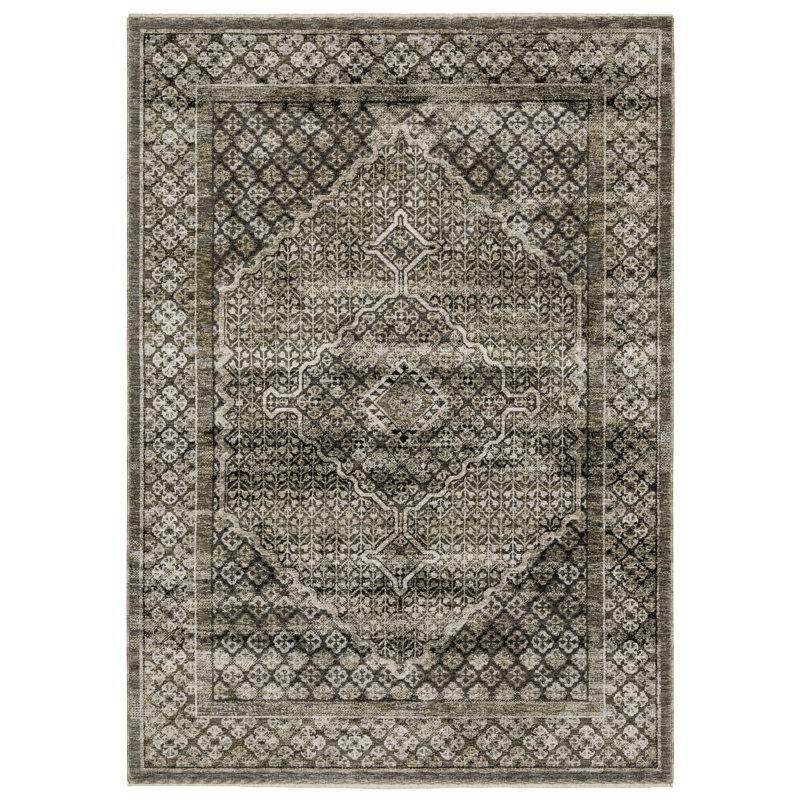 Emerence Oriental Indoor Rug, Rectangle 3'3" x 5'