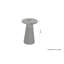 Tam Solid Wood End Table-91338453
