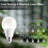 6 Pack A19 LED Light Bulbs, 9W Equivalent 60W, 800LM 5000K Daylight Non-Dimmable E26 Base 120V Plastic Light Bulbs for Home Indoor Lighting-125772297
