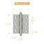 10'' x 10'' Solid Brass Traditional Hinge-14748766-124580131