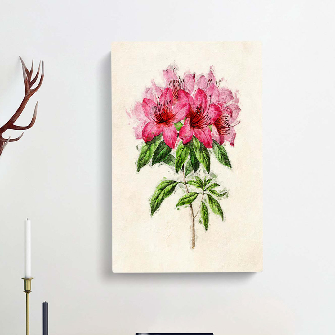 Illustration of a Bunch of Pink Azaleas - Wrapped Canvas