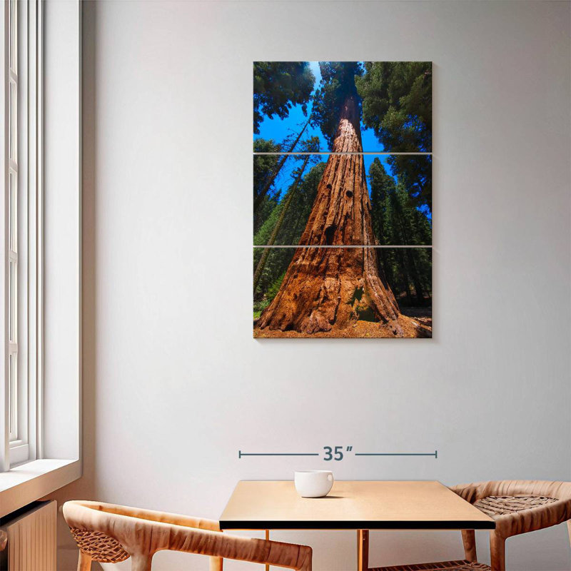 Alvord Towering Sequoia Tree, 57" H x 36" W