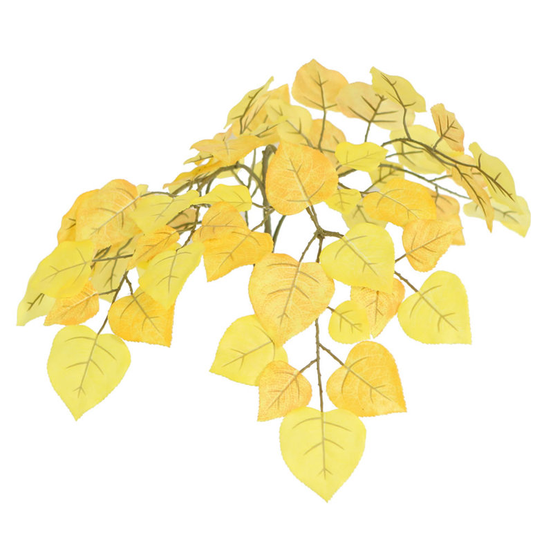 Arbre de ficus naturel dans le panier