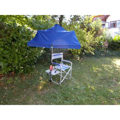 Terence Folding Director Chair