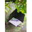 Amardev Wood Hanging Decorative Bird Feeder