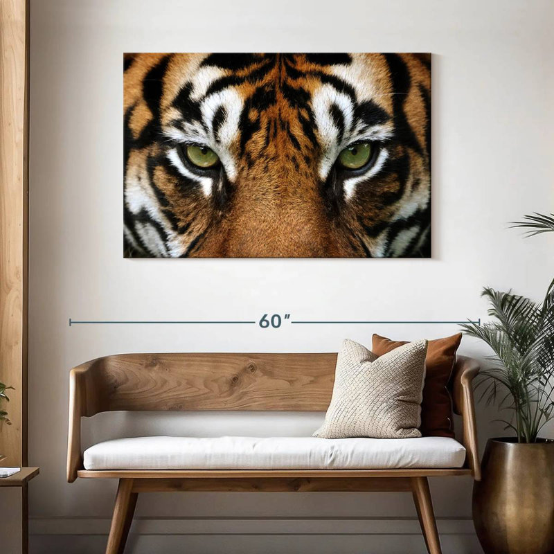 Regard d'un tigre, H 30 po x l 45 po