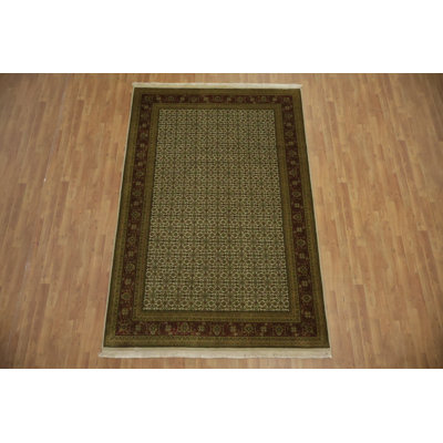 Elegant Traditional Oriental Area Rug 6x9