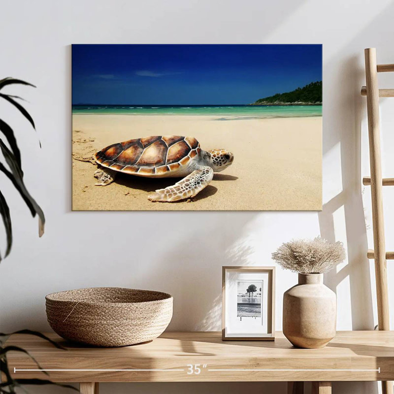 Tortue Brampt sur la plage, H 16 po x l 24 po