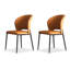 Chaise d'appoint orange à dossier solide (ensemble de 2)-129993308