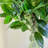 Triple Bay Leaf Topiary Artificial Tree