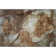 Premium Machine Washable Cerrito AMF522 Brown Rug