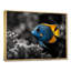 «Blue Aquariums Oceanic Oasis Fish I», reproduction d'art mural aquariums-19661491-259785127