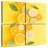 Yarlin Citrus Slices-109134264