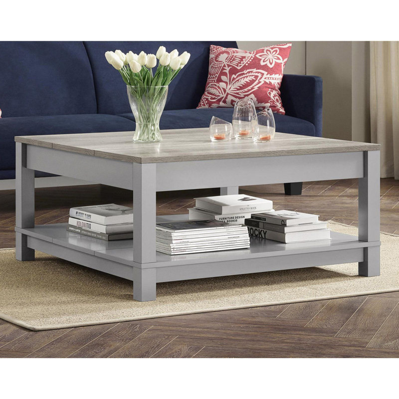 Table basse avec rangement Thaliana, gris