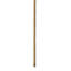 Lavender Stem-25636912
