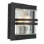 Parrott Outdoor Bulkhead Light-9891389-28213476