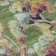 Premium Machine Washable Prisco Fern Rug