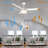 Nikkei 48'' Ceiling Fan with LED Lights-1649719804