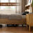 Bed With Headboard-1475934324-1475934283