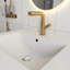 Meuble-lavabo moderne noir de 24 po avec lavabo en céramique blanche, portes à fermeture douce et structure autoportante pour plus de stabilité-246934026-246934031