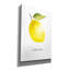 «Single Lemon» par Mercedes Lopez, art mural sur toile 18 po x 26 po-102451674