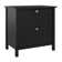 Aliyat 31'' Wide 2 -Drawer File Cabinet