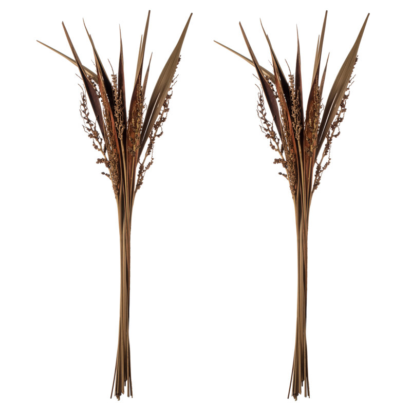 36" Bahia Spears with Seeds, Dried, Natural