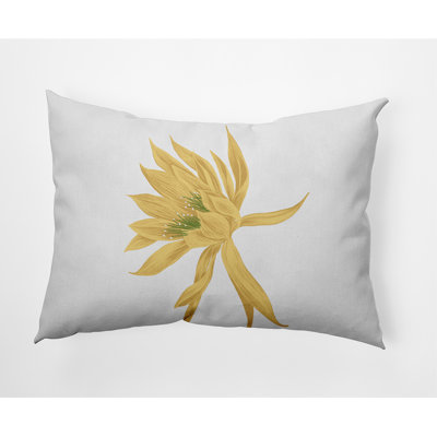 Coussin Hojaver