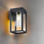Aahaan 27cm H Outdoor Wall Lantern