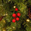 Arbre de Noël 72 'Jamarrie