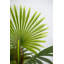 Palmier artificiel 31,5 "en pot