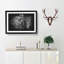 The Majestic Elephant - Picture Frame Graphic Art Print-56875899-56875902