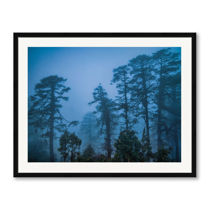 Après-midi brume par Mark Paulda - photographie, Papier avec cadre noir, H 25,25 po x l 31,25 po