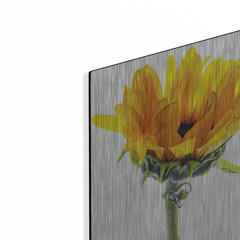 «Tournesol au soleil» par Pamela Plummer, H 16 po x l 12 po