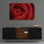 «Red Rose» par Tom Quartermaine-1937692974