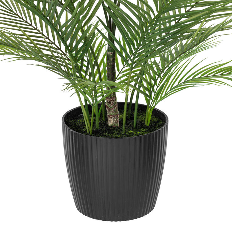 50 plantes