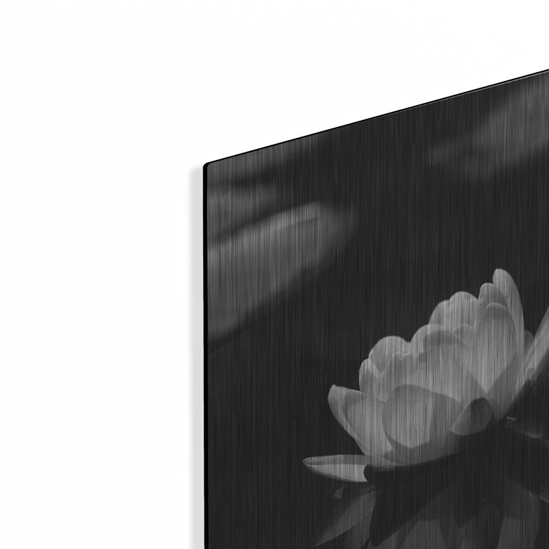 Art luxueux «Water Lily BW» par istvan nagy, H 16 po x l 12 po