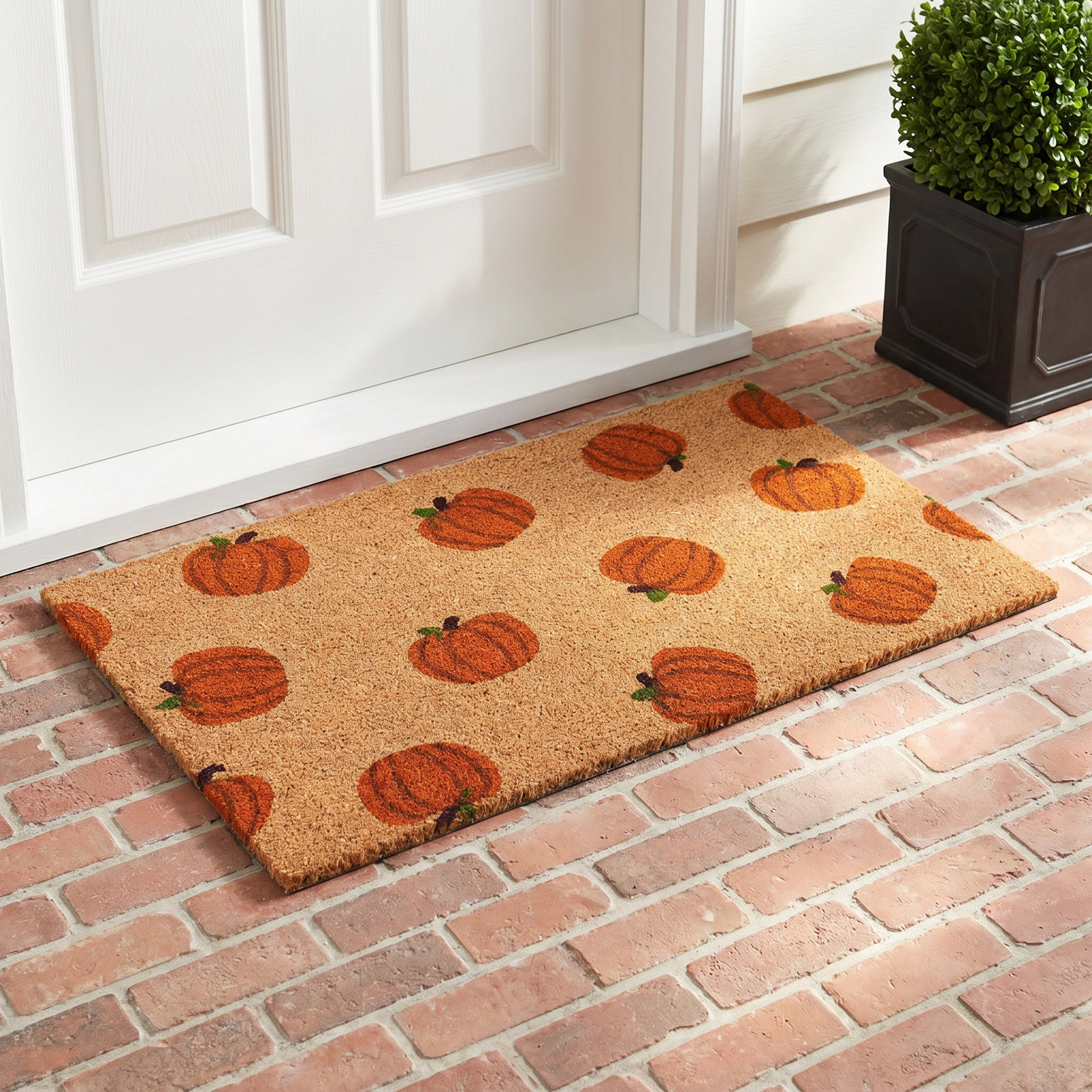 Adamsdale Non-Slip Outdoor Doormat, Rectangle 1'6" x 2'6"