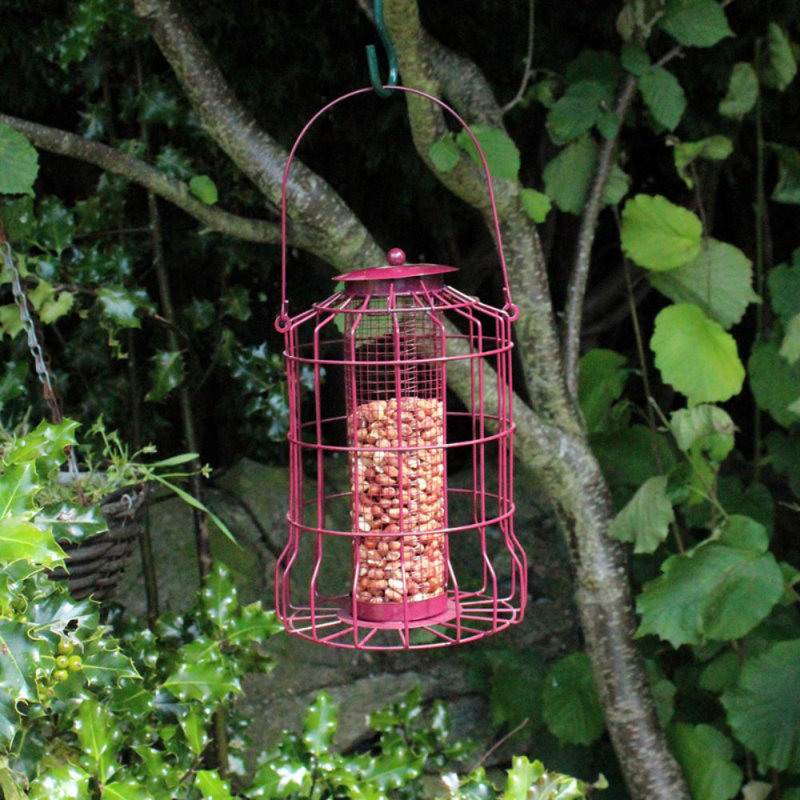 Eva Metal Hanging Decorative Bird Feeder