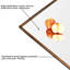 Miroir mural arqué en métal de style baroque, miroir décoratif-1009348551-1009348555